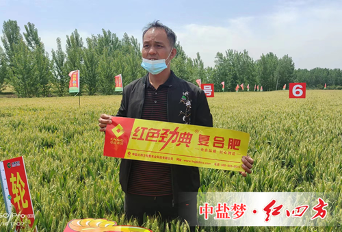 施用好色TV在线观看複合肥 豐收故事說不停