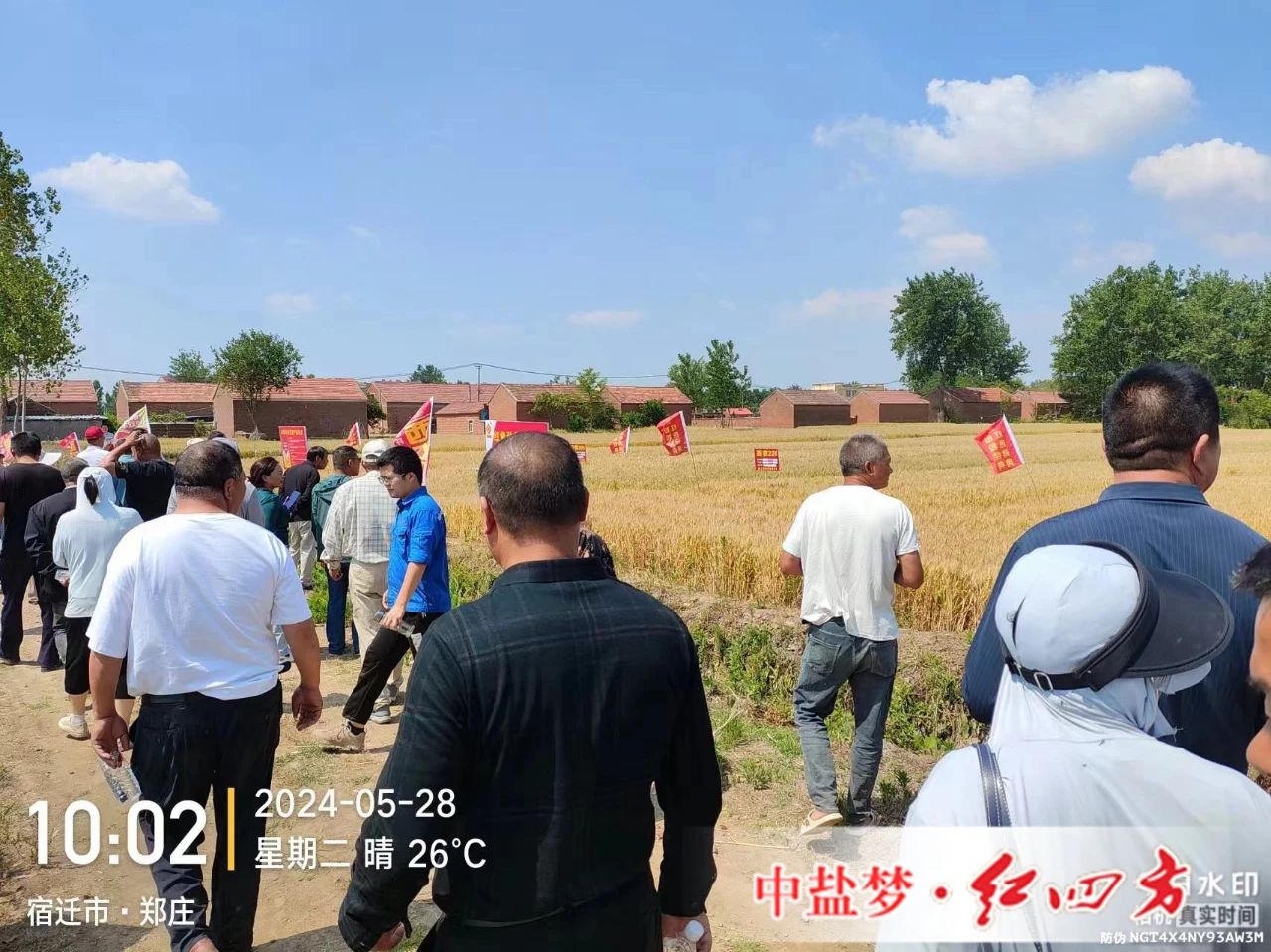 好色TV在线观看勁聚天MR好色先生TV專用肥為MR好色先生TV豐收助力